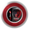 Polyfibre Panthera 17 1.20mm 120M Reel -Sports Store polyfibre panthera 17 1 20mm 120m reel 67653 87703.1698771823