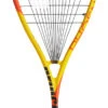 Prince Phoenix Elite 700 Squash Racquet 2 Prince Phoenix Elite 700 Squash Racquet -Sports Store prince phoenix elite 700 squash racquet 68524 61552.1698772310