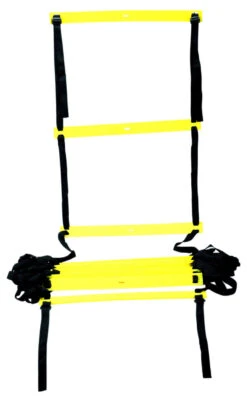 Pro's Pro Stepping Training Ladder