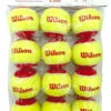 Wilson Starter Red Tennis Balls Dozen -Sports Store wilson starter red tennis balls dozen 17281 09835.1698769436